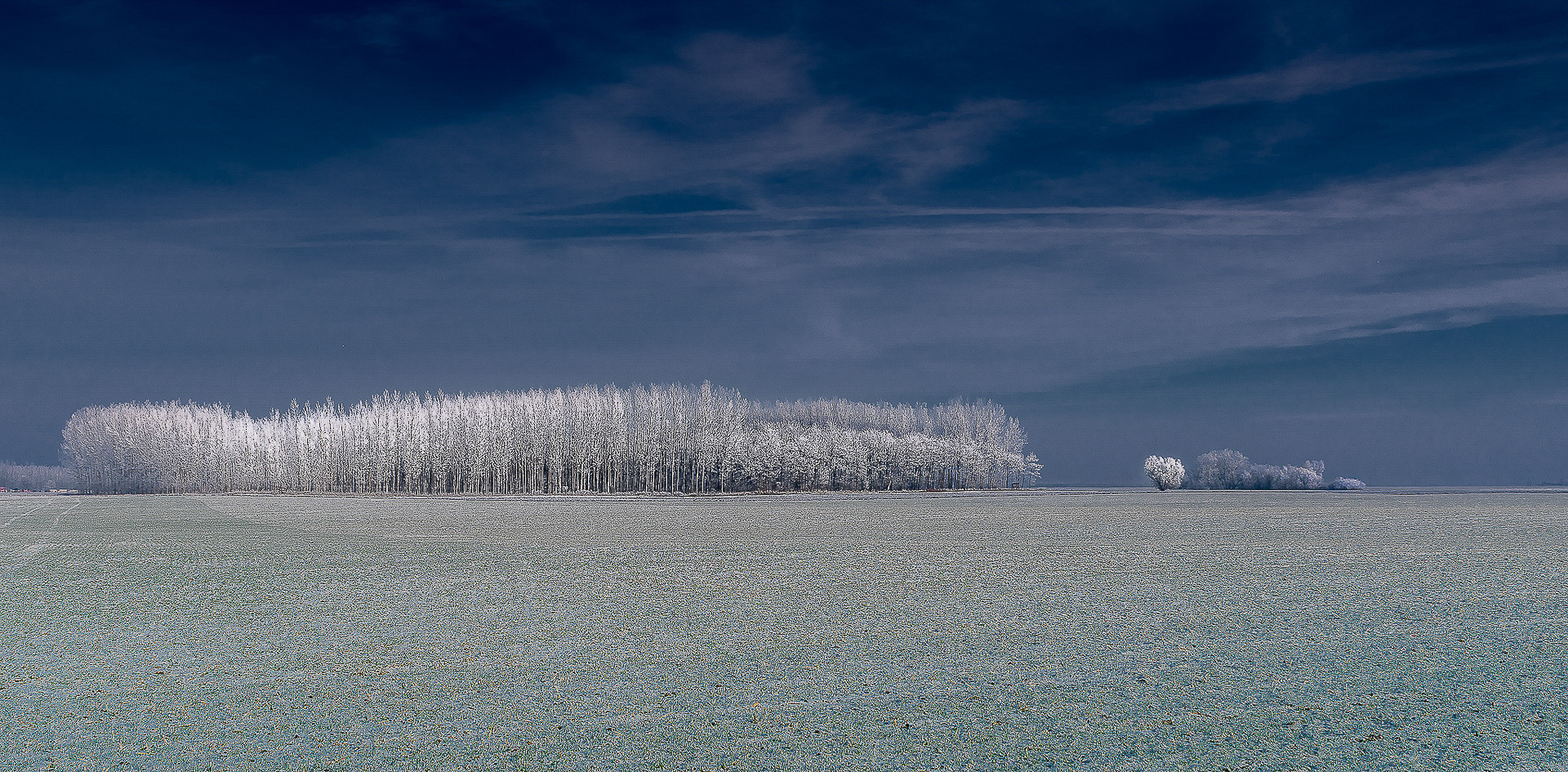 Vilmos Feher(Hungary) Hoarfrosting
